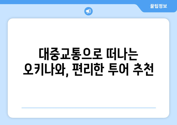 렌트카 없이 떠나는 오키나와 여행| 4가지 추천 투어 | 오키나와, 대중교통, 투어, 여행 계획