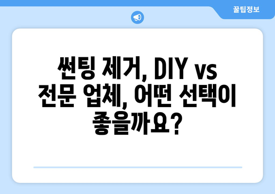 자동차 썬팅 제거 완벽 가이드| 단계별 과정 & 주의 사항 총정리 | 썬팅 제거, DIY, 팁, 주의점