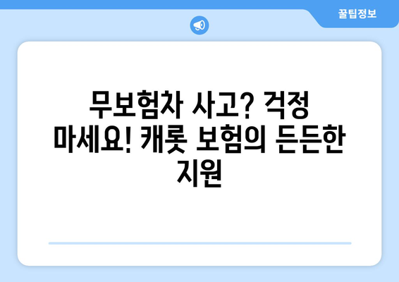 캐롯 자동차보험 무보험차량 사고 대처 후기| 실제 경험 공유 | 무보험, 사고, 보상, 캐롯