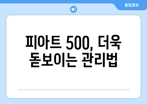 피아트 500 하이패스 & 발수 코팅 시공| 완벽 가이드 |  피아트 500, 하이패스 설치, 발수 코팅, 자동차 관리