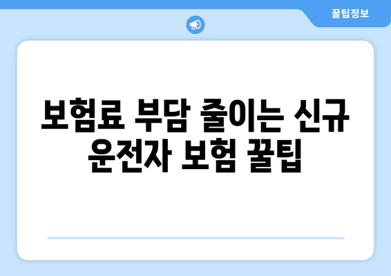 신규 운전자를 위한 자동차 보험 선택 가이드| 현대해상 vs 캐롯 비교 | 자동차보험, 보험료, 보험사 비교, 신규 운전자