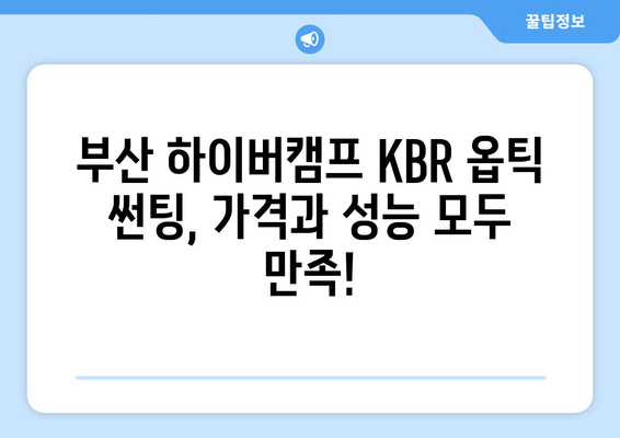 부산 하이버캠프 KBR 옵틱 썬팅, 합리적인 가격으로 만나보세요! | 썬팅 추천, 가격 비교, 시공 후기