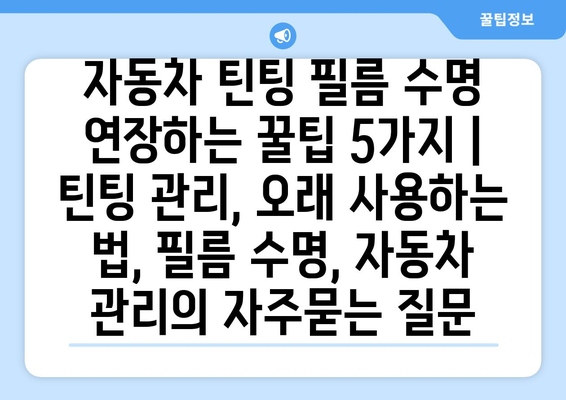 자동차 틴팅 필름 수명 연장하는 꿀팁 5가지 | 틴팅 관리, 오래 사용하는 법, 필름 수명, 자동차 관리