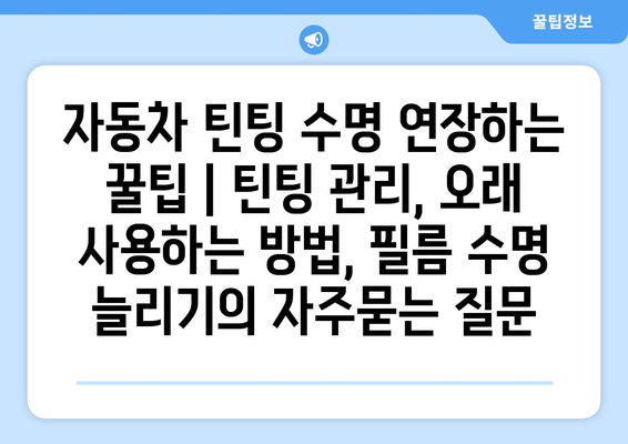 자동차 틴팅 수명 연장하는 꿀팁 | 틴팅 관리, 오래 사용하는 방법, 필름 수명 늘리기