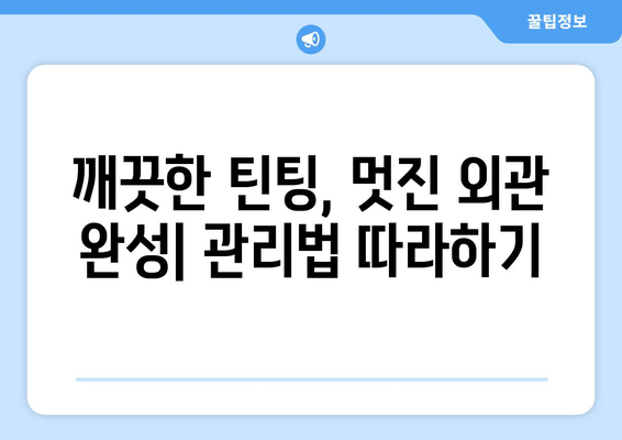 틴팅 유지의 중요성| 외관과 내구성 향상을 위한 핵심 가이드 | 자동차 틴팅, 틴팅 관리, 내구성, 외관 관리