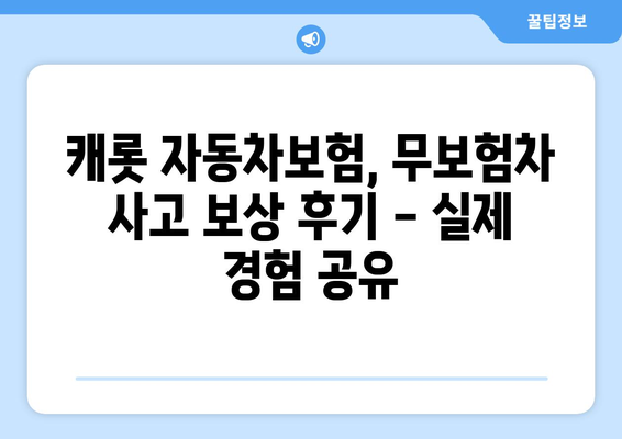 캐롯 자동차보험 무보험차량 사고 대처 후기| 실제 경험 공유 | 무보험, 사고, 보상, 캐롯