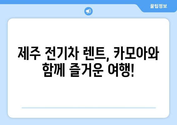 제주 전기차 렌트, 카모아에서 최저가로 즐기세요! | 제주도 전기차 렌트, 카모아 추천, 전기차 렌트 가격 비교