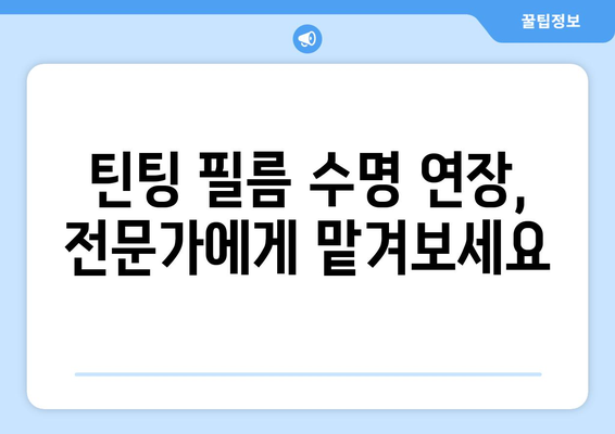 자동차 틴팅 필름 수명 연장하는 꿀팁 5가지 | 틴팅 관리, 오래 사용하는 법, 필름 수명, 자동차 관리