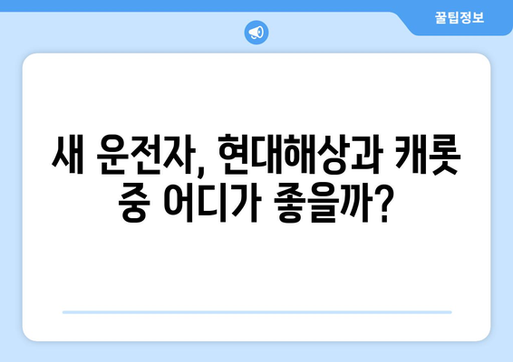 신규 운전자를 위한 자동차 보험 선택 가이드| 현대해상 vs 캐롯 비교 | 자동차보험, 보험료, 보험사 비교, 신규 운전자