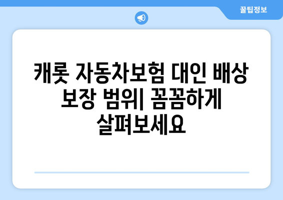 캐롯 자동차보험 대인 배상| 운전자 보호 범위 확장하기 | 보장 범위, 특징, 가입 팁