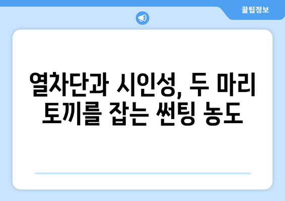 자동차 썬팅 농도, 이제 고민 끝! | 열차단 효과와 시인성, 완벽한 균형을 찾는 썬팅 농도 선택 가이드