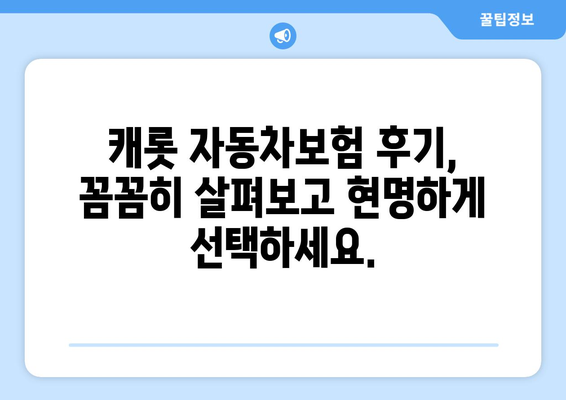 캐롯 자동차보험 후기 확인 후 고객 지원 활용법 |  실제 이용자 경험 & 유용한 정보 가이드 | 캐롯, 보험, 후기, 고객 지원, 활용 팁