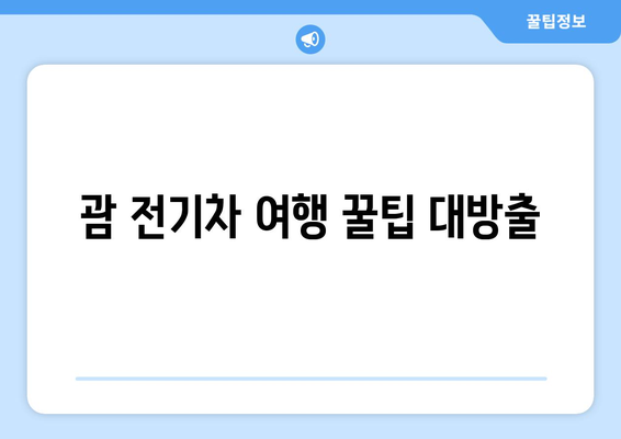 전기차로 괌을 달리는 짜릿함| 괌 전기차 여행 완벽 가이드 | 괌, 전기차 여행, 렌터카, 충전소, 여행 코스, 팁