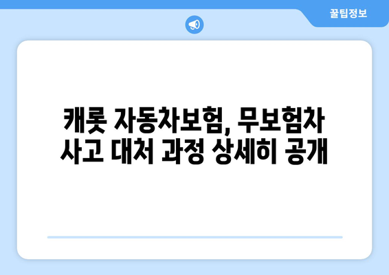 캐롯 자동차보험 무보험차량 사고 대처 후기| 실제 경험 공유 | 무보험, 사고, 보상, 캐롯