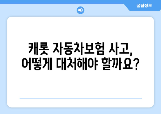 캐롯 자동차보험 사고, 내 권리를 지키는 법률 가이드 | 사고 처리, 보상, 소송, 손해 배상, 법률 상담