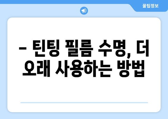 자동차 틴팅 수명 연장하는 꿀팁 | 틴팅 관리, 오래 사용하는 방법, 필름 수명 늘리기