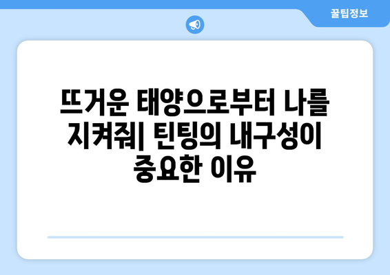 틴팅 유지의 중요성| 외관과 내구성 향상을 위한 핵심 가이드 | 자동차 틴팅, 틴팅 관리, 내구성, 외관 관리