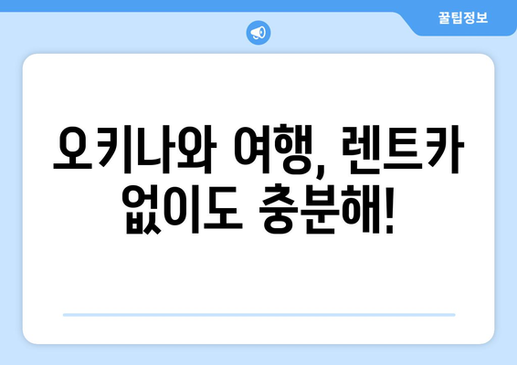 렌트카 없이 떠나는 오키나와 여행| 4가지 추천 투어 | 오키나와, 대중교통, 투어, 여행 계획