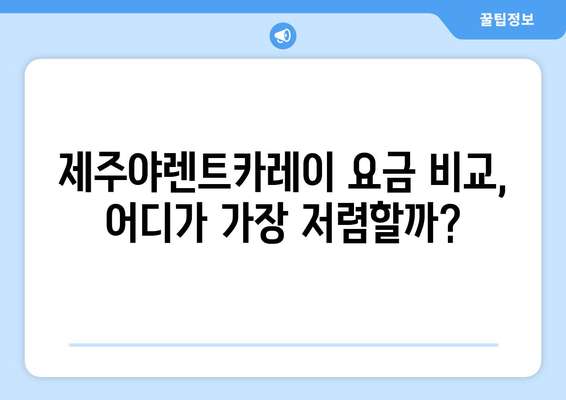 제주야렌트카레이에서 저렴하게 렌터카 빌리기| 요금 비교, 주유팁, 이용 후기 | 제주도 렌터카, 가격 비교, 주유 정보