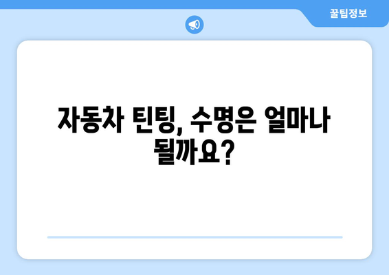 자동차 틴팅 수명, 오산 선팅 전문점에서 제대로 알아보세요 | 틴팅, 수명, 오산, 전문점, 가격, 추천