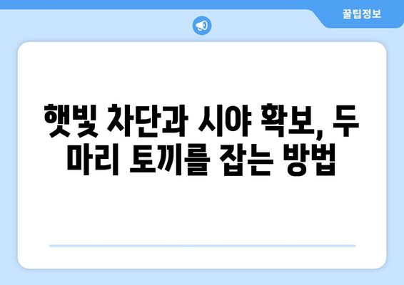 자동차 선팅 농도 고민 해결| 효과와 투명도, 완벽한 균형을 찾는 방법 | 선팅 농도, 자동차 선팅, 틴팅, 썬팅, 틴팅 농도