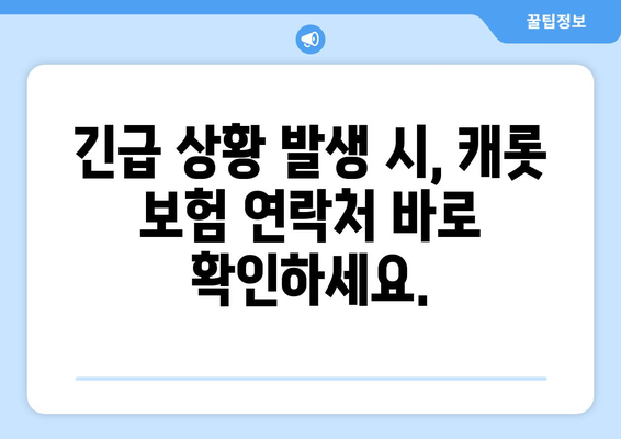 캐롯 자동차 보험 24시간 접수 불가능? 지금 바로 해결하세요! | 보험, 긴급, 연락처, 방법, 해결