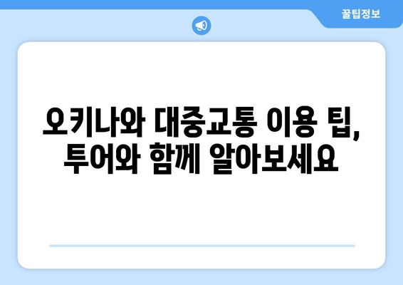 렌트카 없이 떠나는 오키나와 여행| 4가지 추천 투어 | 오키나와, 대중교통, 투어, 여행 계획