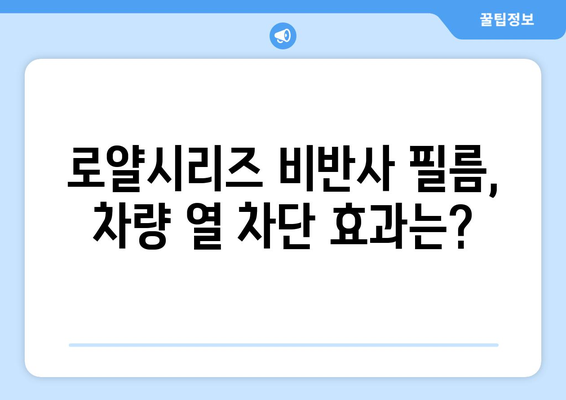 로얄시리즈 비반사 자동차 선팅, 효율성 비교분석| 장점, 단점, 그리고 선택 가이드 | 자동차 선팅, 비반사 필름, 열차단, 햇빛 차단, 시인성