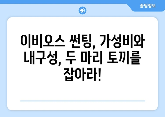 이비오스 썬팅 브랜드 비교 분석| 필름 성능과 가격, 어떤 점을 고려해야 할까요? | 썬팅 추천, 가성비, 내구성, 열 차단, 자외선 차단