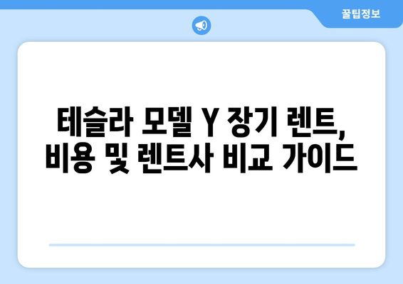 저렴한 테슬라 모델 Y 신차 장기 렌트| 추천 가이드 | 장점, 단점, 비용, 주의 사항, 렌트사 비교