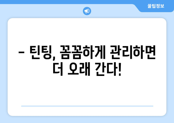 자동차 틴팅 수명 연장하는 꿀팁 | 틴팅 관리, 오래 사용하는 방법, 필름 수명 늘리기