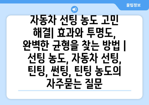 자동차 선팅 농도 고민 해결| 효과와 투명도, 완벽한 균형을 찾는 방법 | 선팅 농도, 자동차 선팅, 틴팅, 썬팅, 틴팅 농도