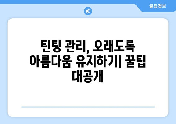 틴팅 유지의 중요성| 외관과 내구성 향상을 위한 핵심 가이드 | 자동차 틴팅, 틴팅 관리, 내구성, 외관 관리