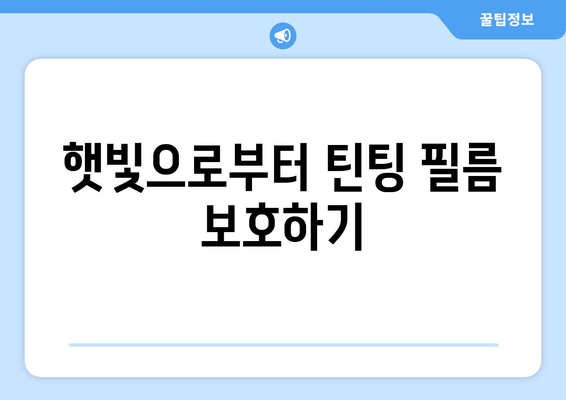 자동차 틴팅 필름 수명 연장하는 꿀팁 5가지 | 틴팅 관리, 오래 사용하는 법, 필름 수명, 자동차 관리