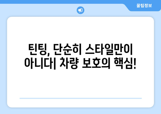 틴팅 유지의 중요성| 외관과 내구성 향상을 위한 핵심 가이드 | 자동차 틴팅, 틴팅 관리, 내구성, 외관 관리