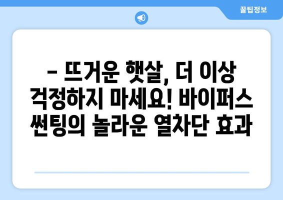 여름 더위 걱정 끝! 바이퍼스 사틴 썬팅으로 시원하게 드라이빙 즐기기 | 썬팅 추천, 바이퍼스, 여름철 드라이빙, 열차단 썬팅