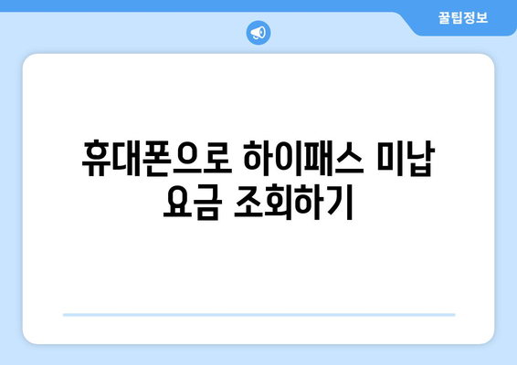 하이패스 미납 요금, 간편하게 조회하고 납부하세요! | 하이패스, 미납 요금, 조회, 납부, 방법, 안내