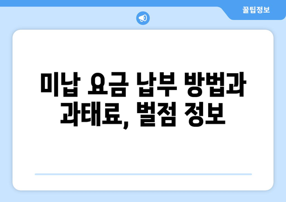 하이패스 없이 고속도로 요금 미납, 이렇게 해결하세요! | 미납 요금 처리, 과태료, 벌점, 납부 방법