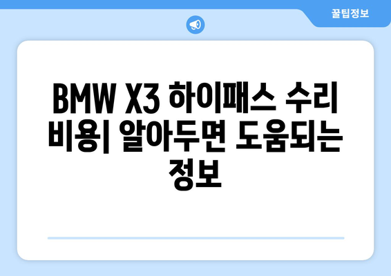 BMW X3 하이패스 고장 해결| 수리부터 교체까지 완벽 가이드 | 하이패스 오류, 고장 증상, 수리 비용, 교체 방법