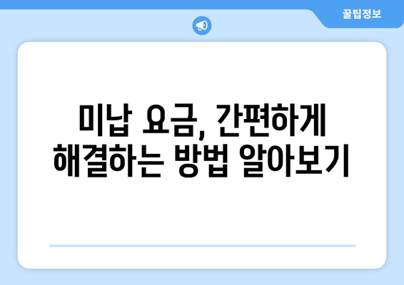 하이패스 없이 고속도로 요금 미납, 이렇게 해결하세요! | 미납 요금 처리, 과태료, 벌점, 납부 방법