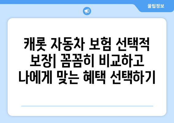 캐Rohit 자동차 보험 선택적 보장| 추가 혜택 비교분석 | 보험료, 보장범위, 추가 혜택, 선택 가이드